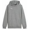 Puma | teamGOAL Casuals Hoody Kids | šedá| 116