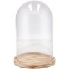 Daan Kromhout Sklenený zvon na drevenej podstave 17x25cm