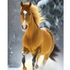 Diamantový obraz Kôň v zime
