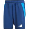 Adidas Tiro 24 Competition Match M shorts IQ4754 (193727) Black 2XL