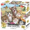 PRIME 3D puzzle Mačacie Selfie 63 ks