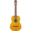 Ibanez GA3-OAM