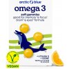 Arctic blue Kids Vegan Omega 3 (250mg DHA & Vitamin D 200IU) 30 gummies