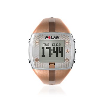 Polar FT4