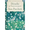 Divadlo na Tomovom jazere - Ann Patchettová