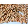 Hrach Top Food 5 kg