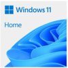 Windows 11 Home 64-bit SK - USB (HAJ-00100)