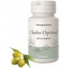 NástrojeZdravia CHOLES Optimal 60 kapsúl