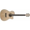 Washburn AG 40 CE