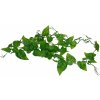 Lucky Reptile Jungle Vine Ivy Vine ca. 200 cm