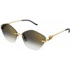 Cartier CT0429S 001