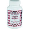Naturvita Kaštan Jírovec plus 60 kapsúl