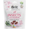 Brit Care Dog Insects with Salmon & Thyme 200 g