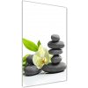 Vertikálny foto obraz sklo tvrdené Orchidea a kamene 50x100 cm