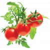 Click and Grow náplň pre smart kvetináče a farmy - Mini paradajky 3ks v balení