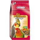 Krmivo pre vtáka Versele-Laga Prestige Big Parakeets 1 kg