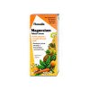 SALUS Floradix Magnesium 250ml