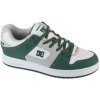 DC Shoes nízke tenisky Shoes Manteca SE zelená