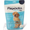 Flexadin 4Life Young Dog Maxi žvýkací 60tbl