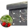 Agrotkanina s OTVORMI pre JAHODY 60 cm x 10 m Protihrúdna textília 90 g/m2