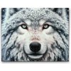 Vymalujsisam.sk Diamantové maľovanie - Zasnežený vlk Veľkosť: 40x50cm, Rám: Bez rámu, iba zrolované plátno, Diamanty: Hranaté