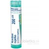 Aconitum Napellus gra.1 x 4 g 200CH