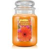 Country Candle Slunce a sedmikrásky 680 g