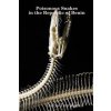 Poisonous Snakes in the Republic of Benin (Dallys-Tom Medali)(Brožovaná)