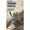 Zapomenutá stíhací esa - Osudy osmi spoj - Marek Brzkovský