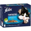 FELIX Fantastic cat Multipack výber z rýb v želé kapsičky pre mačky 12x85g