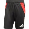 Adidas Tiro 24 Competition Training M shorts IR5484 (188948) 2XL