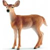 Schleich Schleich Laň jeleňa bielochvostého OLP102614819
