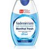 Vademecum 2 in1 Menthol Fresh zubná pasta a ústna voda 2v1 75 ml