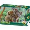Puzzle 3D Koala 100 dielikov