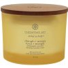 Vonná svíčka CHESAPEAKE BAY CANDLE Strength & Energy 312g / 3 knoty