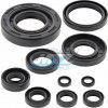 Vertex Gufera sada (simerinky celý motor) Yamaha YZ250 / 02-25 + YZ250X + Fantic XX250