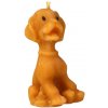 Sviečka z včelieho vosku pes - Pleva, výška 9 cm