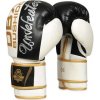 BUSHIDO Boxerské rukavice DBX B-2v16 - 12oz