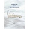 Cesta za svetlom lásky - Miroslav Židek