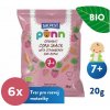 6x SALVEST Ponn BIO Chrumky jahodové 20 g VP-F166982