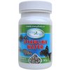 Easy Fish Spirulina wafer 50 g