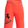 UNDER ARMOUR UA Prototype 2.0 Logo Shorts-ORG - M