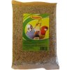 Avicentra Lesknica 1 kg