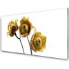 Nástenný panel Kvety rastlina 100x50 cm