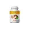 MycoMedica Shiitake 90 kapsúl Vegan