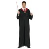 Guirca Čarodejník Harry Potter