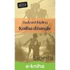 Kniha džungle