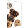 Vertikálny fotoobraz na skle Domáce zvieratá 50x100 cm