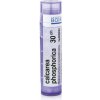Calcarea Phosphorica gra.1 x 4 g 30CH