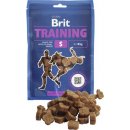 Brit Training Snack S 100g